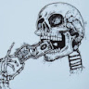 Meet your Posher, Raven